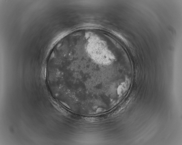 X0000112421413200909111001