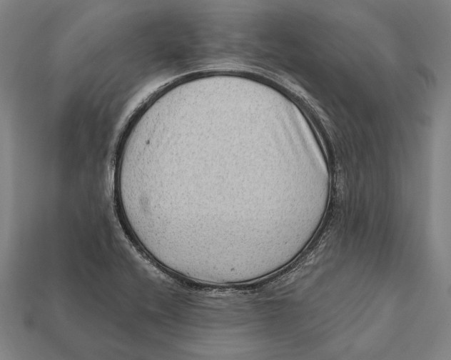 X0000112421416200909111001