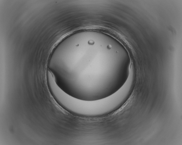 X0000112421417200909111001