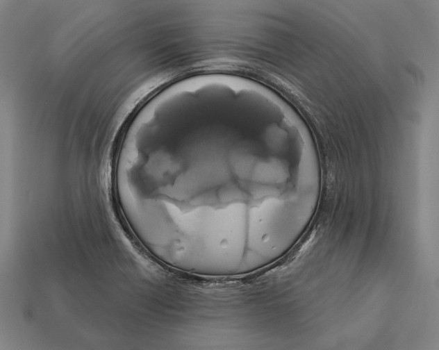 X0000112421418200909111001