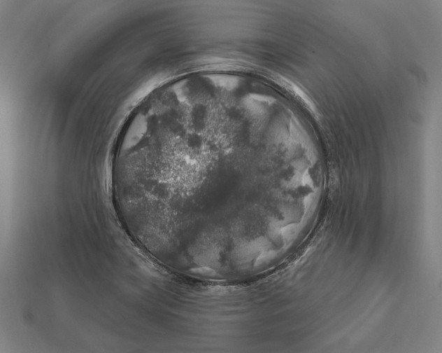 X0000112421419200909111001