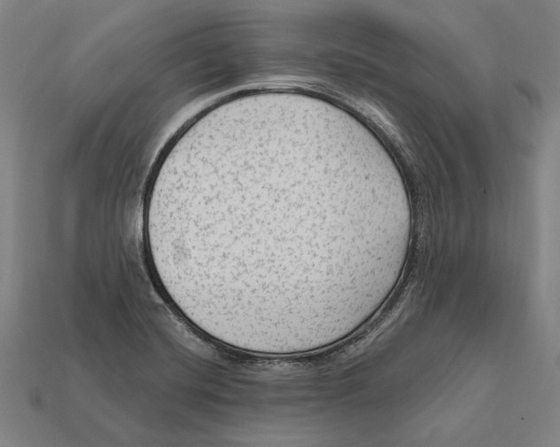 X0000112421420200909111001