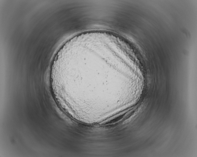 X0000112421421200909111001