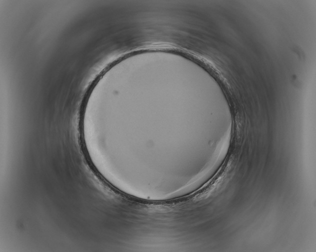 X0000112421422200909111001