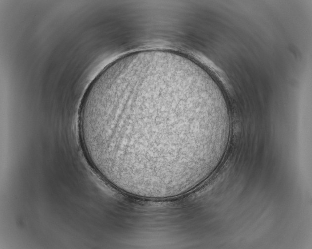 X0000112421423200909111001