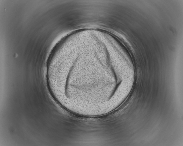 X0000112421424200909111001