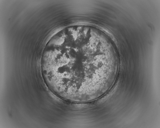 X0000112421425200909111001