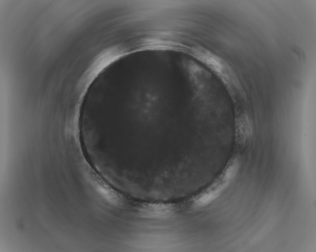 X0000112421427200909111001