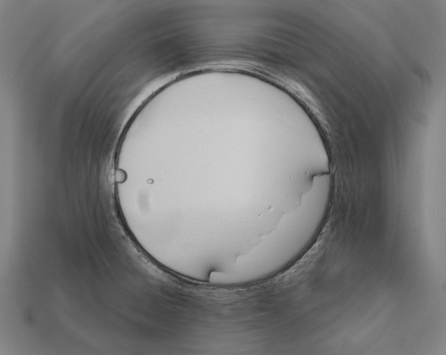 X0000112421428200909111001