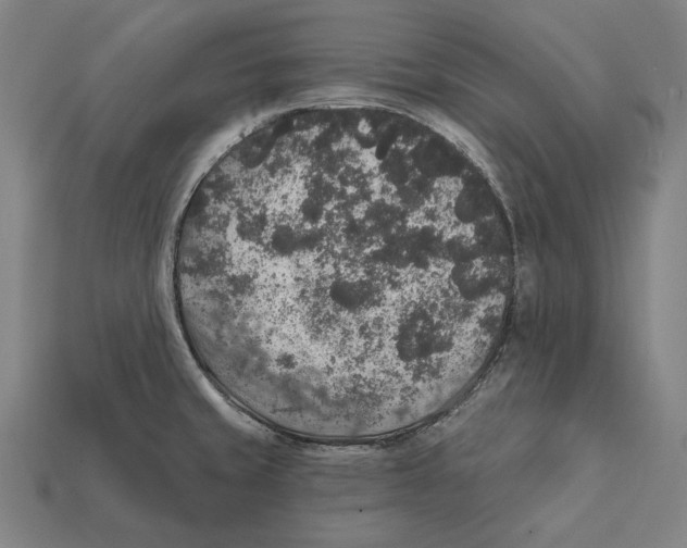 X0000112421429200909111001