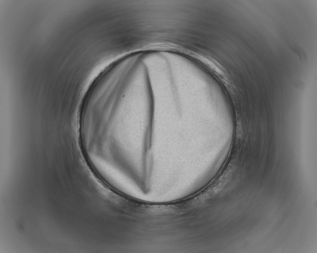 X0000112421430200909111001