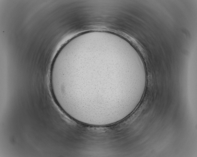 X0000112421432200909111001