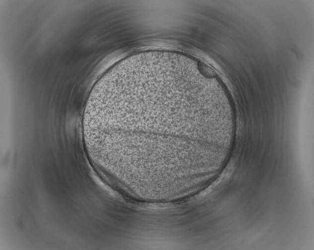 X0000112421433200909111001