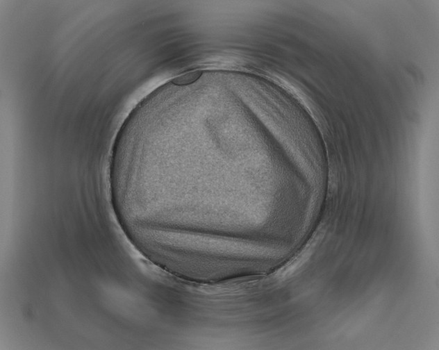 X0000112421434200909111001