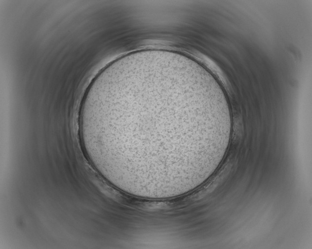 X0000112421435200909111001