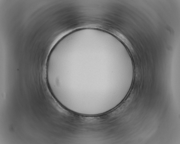 X0000112421436200909111001