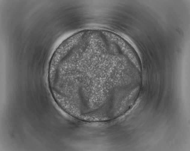 X0000112421437200909111001