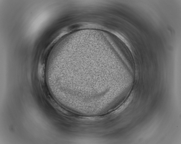 X0000112421438200909111001