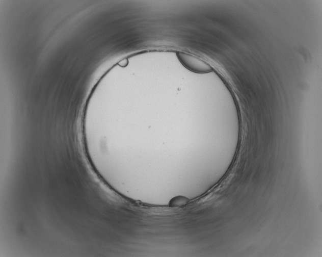 X0000112421440200909111001