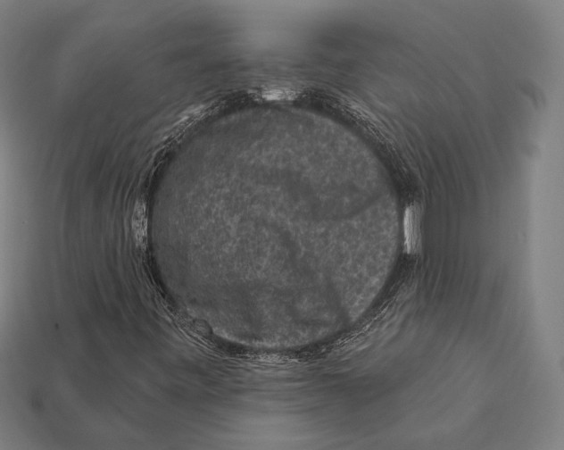 X0000112421443200909111001