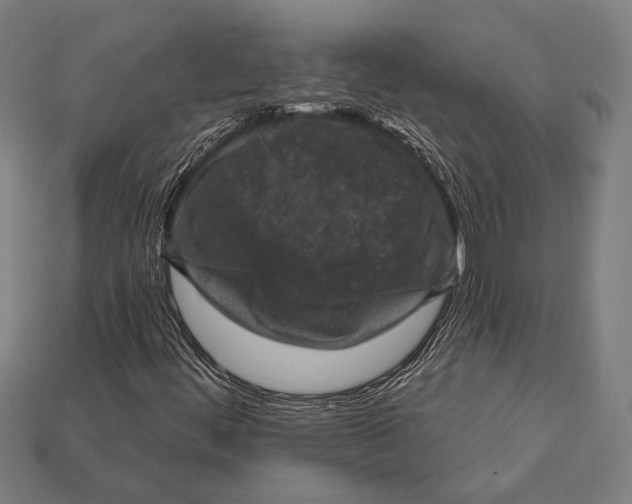 X0000112421444200909111001