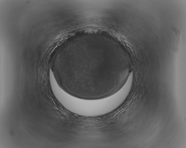 X0000112421445200909111001