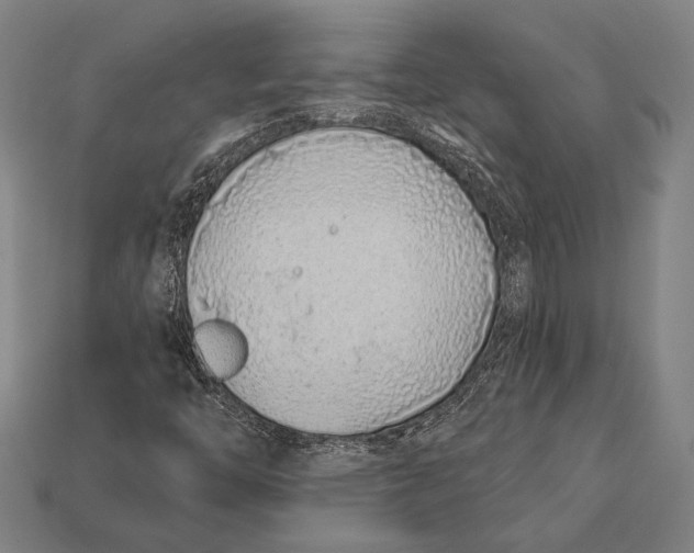 X0000112421446200909111001