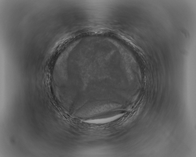 X0000112421447200909111001