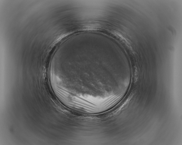 X0000112421449200909111000