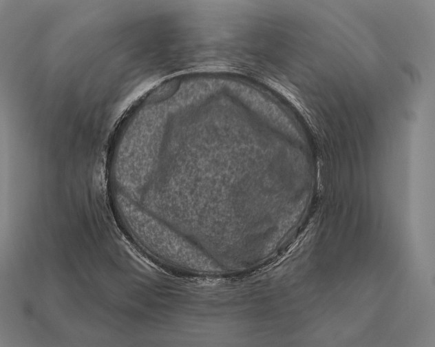 X0000112421452200909111000