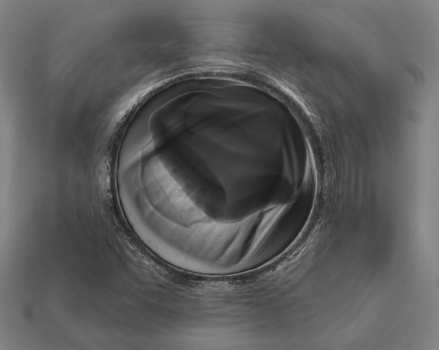 X0000112421455200909111000