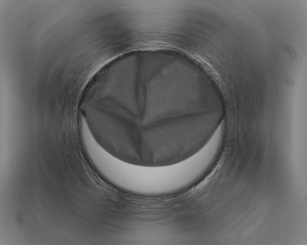 X0000112421457200909111000