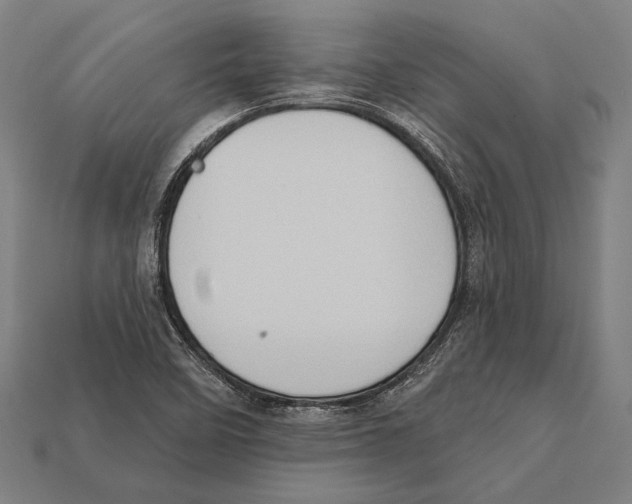 X0000112421458200909111000