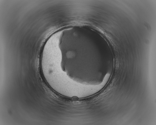 X0000112421459200909111000