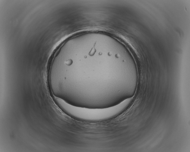 X0000112421460200909111000