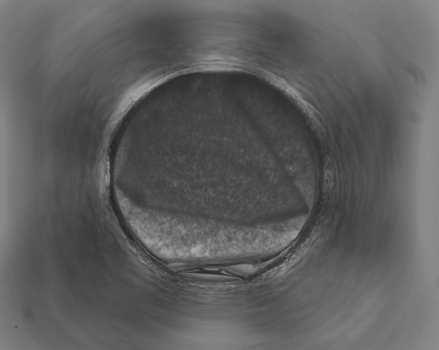 X0000112421461200909111000