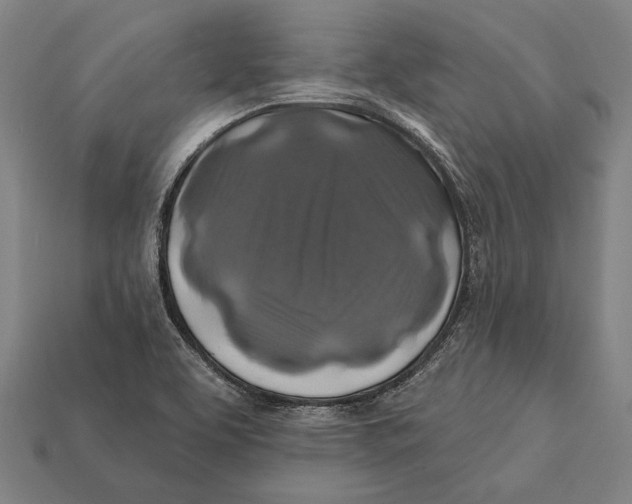 X0000112421463200909111000