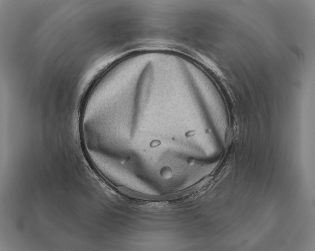 X0000112421464200909111000