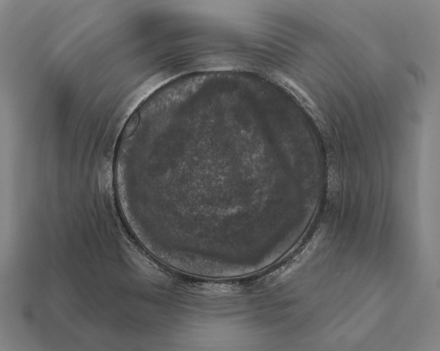 X0000112421465200909111000