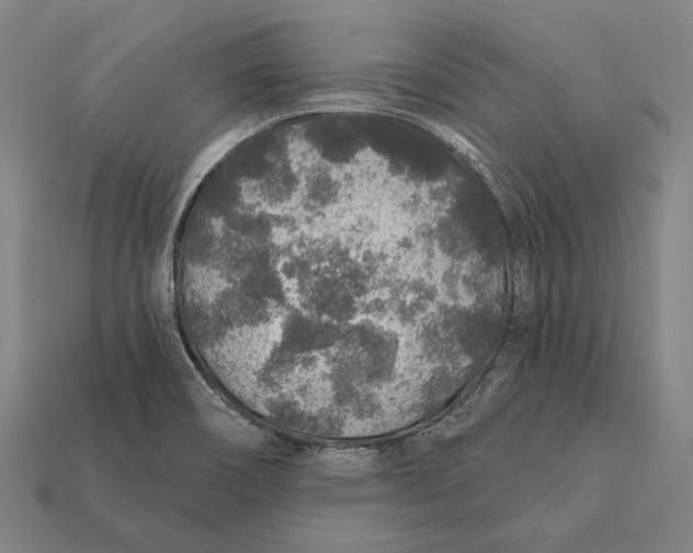 X0000112421466200909111000