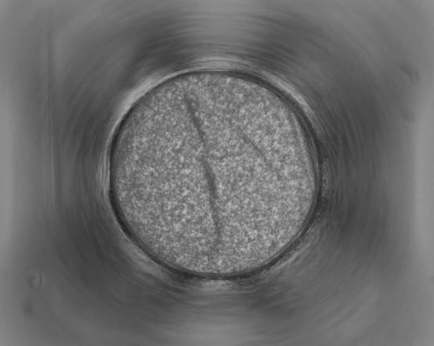 X0000112421467200909111000