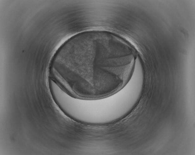 X0000112421468200909111000