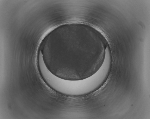 X0000112421469200909111000