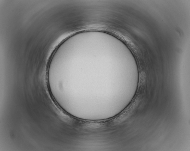 X0000112421470200909111000