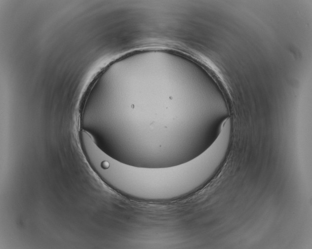 X0000112421472200909111000