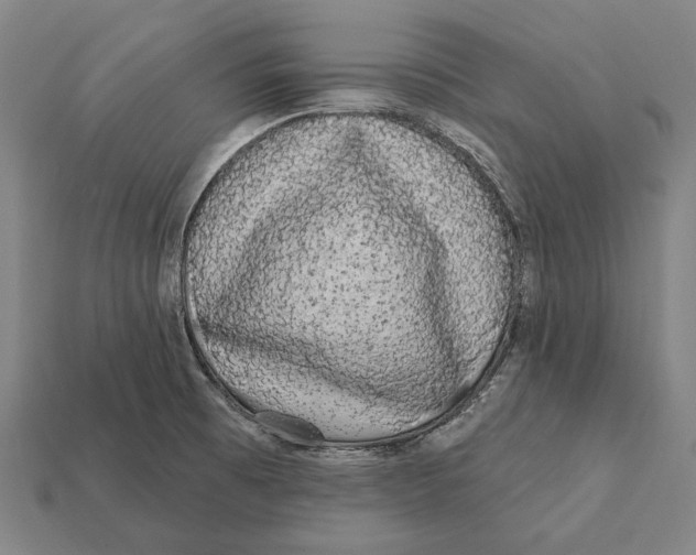 X0000112421473200909111000