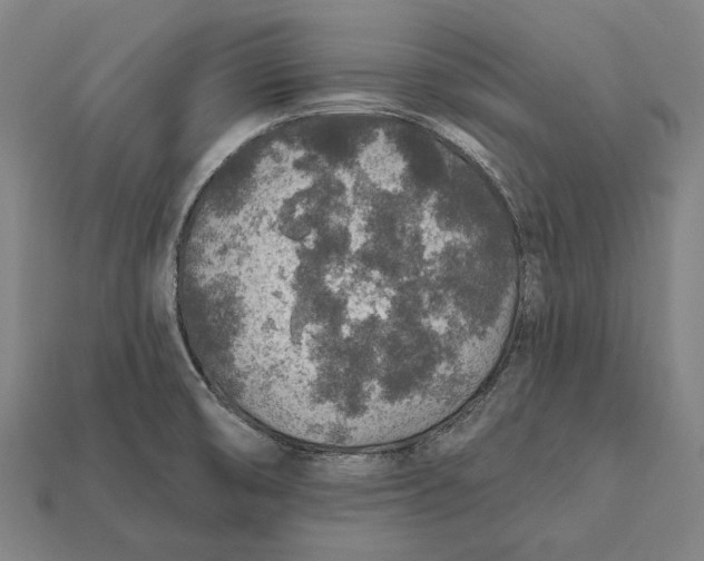 X0000112421474200909111000