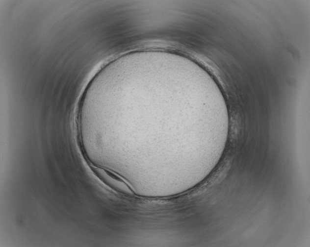 X0000112421475200909111000