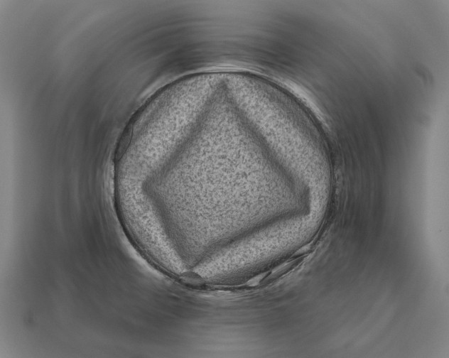 X0000112421476200909111000