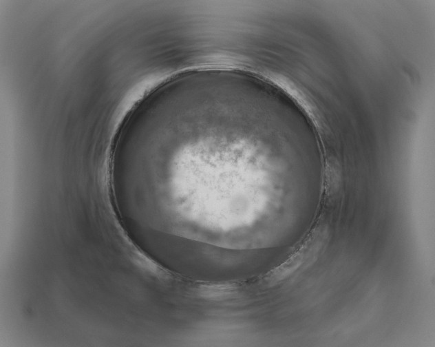 X0000112421477200909111000